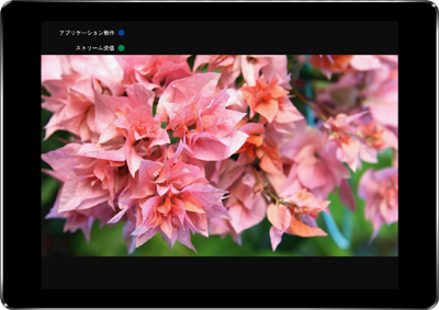 iPad版　デコーダ画面